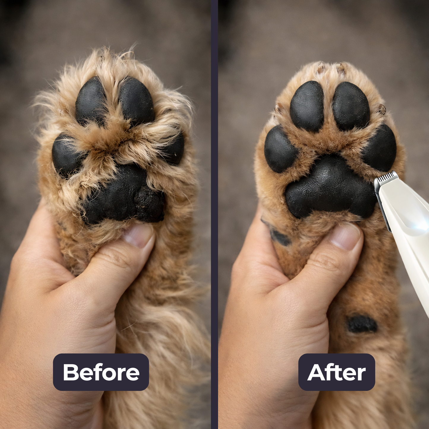 PawTrim Pro